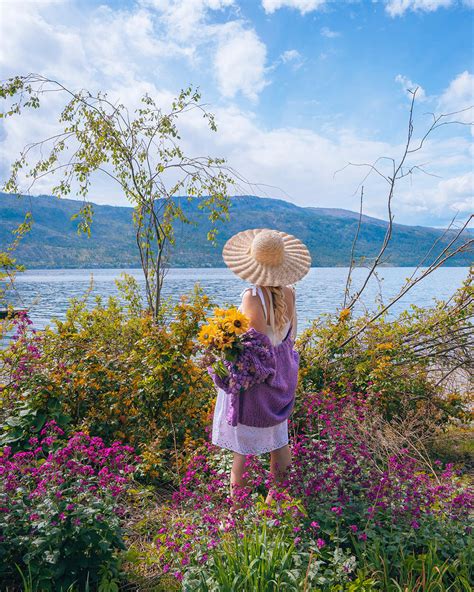 Image result for Spring Flower 321