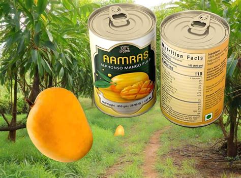 Buy Ratnagiri Alphonso Mangoes Online | Certified Hapus Mango ...