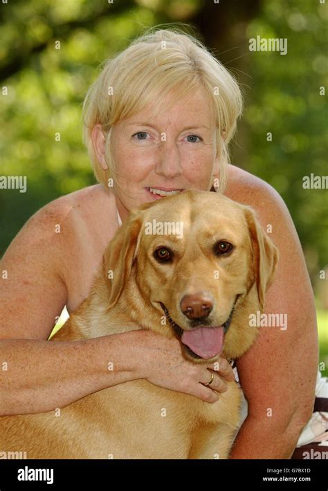 Image result for Guide 2004