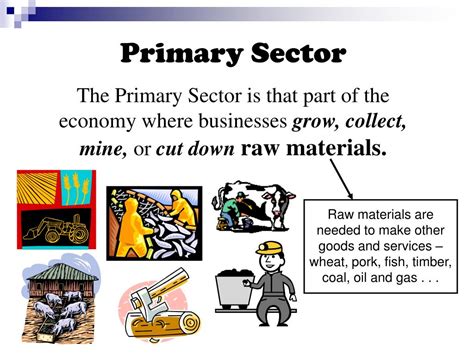 Image result for Business Sectors Examples