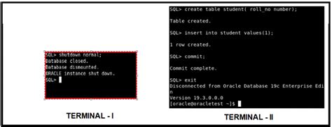 Image result for How to Close Oracle Server