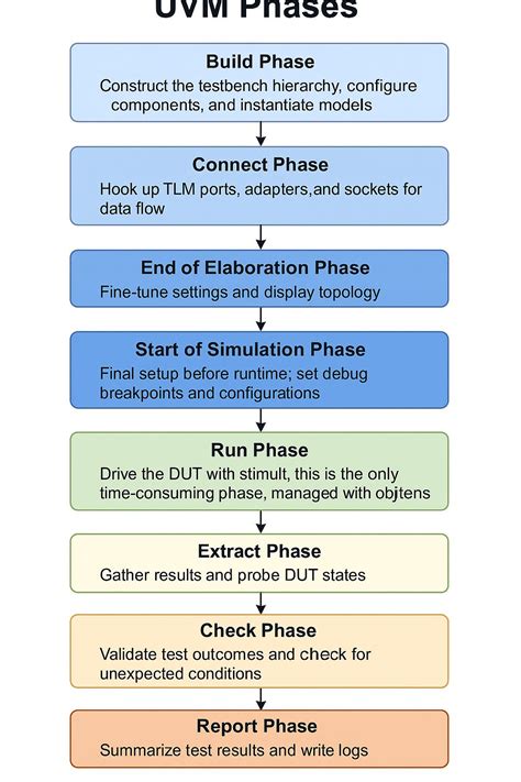 Phases Of Uvm