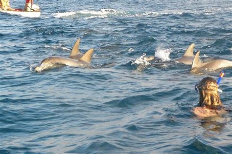 2026 Wasini Island Day Tour (with Reviews & Photos)