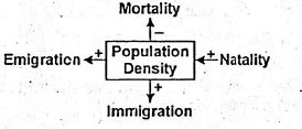 Which of the following is correct with reference to population growth?