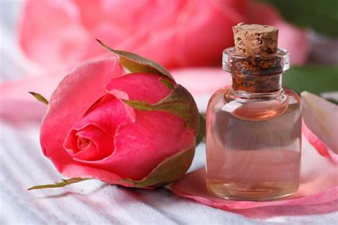 manfaat air mawar dan baby oil