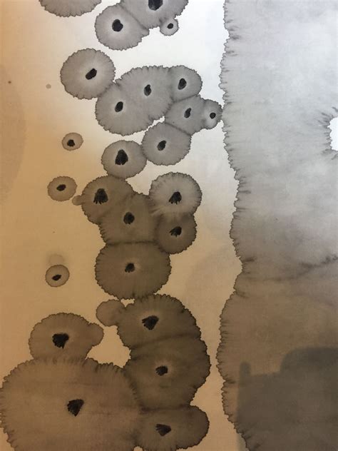 오늘 저장할 49 수묵ㅡ먹꽃 아이디어 | 그림, 동양화, 추상화 등