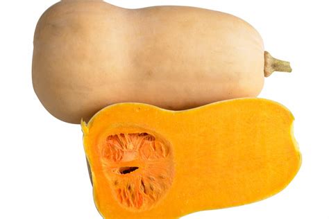Melora Butternut Seeds | Early F1 Hybrid for High Yield-Starke Ayres ...