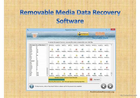 USB Drive Data Recovery 的图像结果