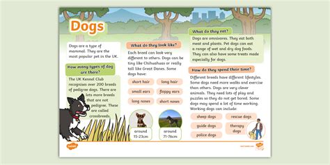 Dogs for 1st Graders Science 的图像结果