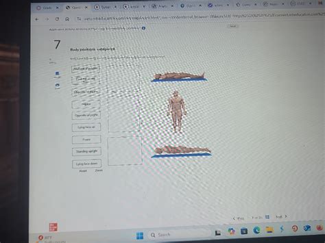 Body positions: categorize Match the | StudyX