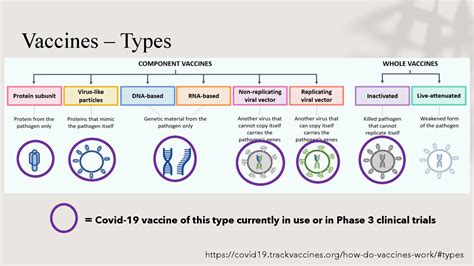 Safety & Efficacy of COVID-19 Vaccines | Ministry of Health