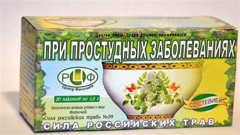 Травы при простуде и гриппе: отвары, сборы, фиточаи от насморка и ...