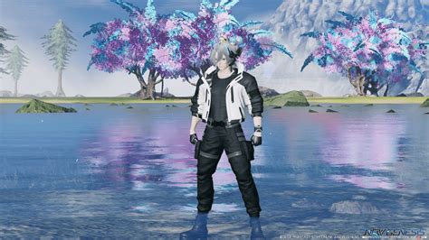 PSO2 Intro 的图像结果