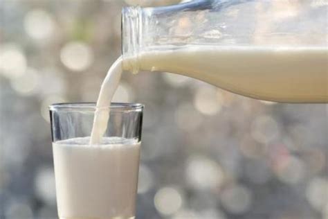 生牛乳是什么 生牛乳怎么煮 - 致富热