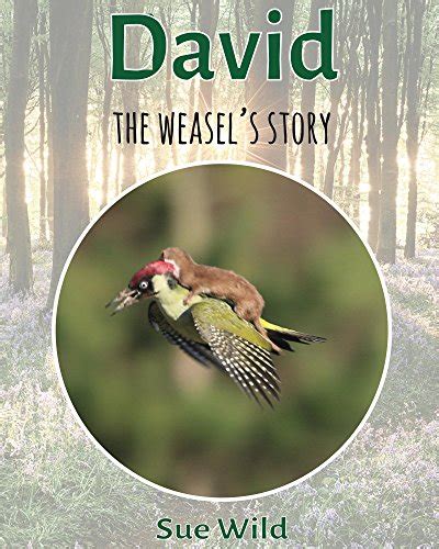 David: the weasel's story (U.K. Mammals Book 4) eBook : Wild, Sue ...