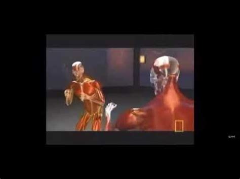 Image result for Decimation Meme