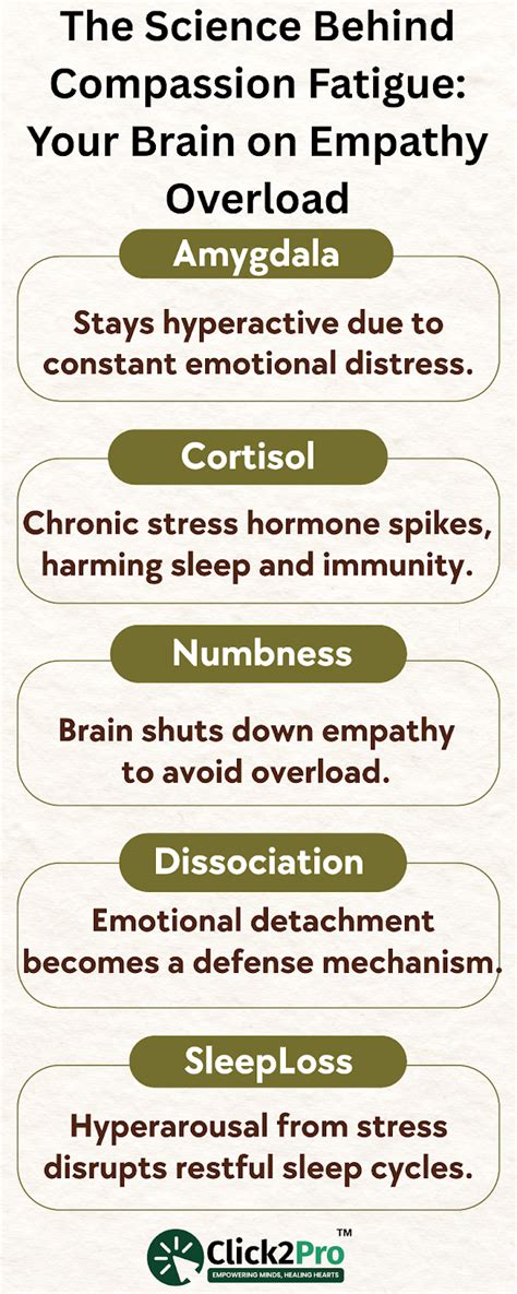 Compassion Fatigue: Signs, Impact & Healing Insights