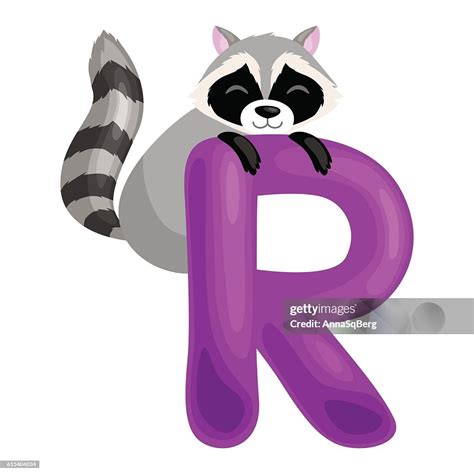 Letter R With Animal Raccoon For Kids Abc Education In High-Res Vector ...