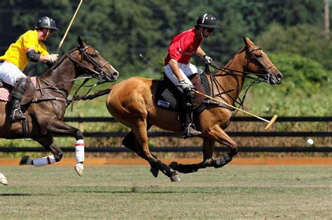 Polo Sport Wallpapers - Wallpaper Cave