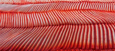 Official Online Store – Studio Medium