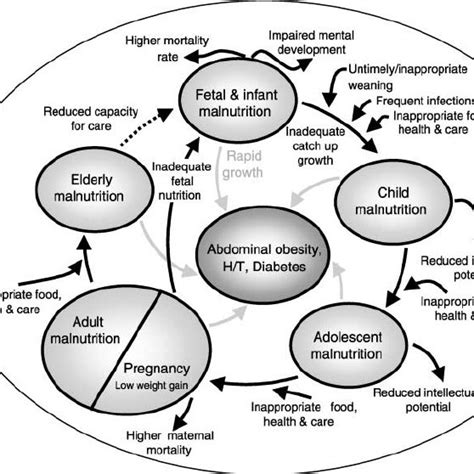 Image result for Life Course Approach