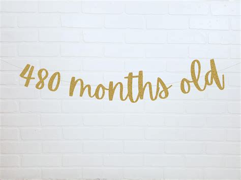 480 Months Old 40th Birthday Decorations 40th Birthday Banner Birthday ...