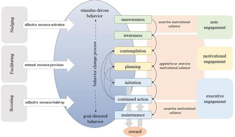 Frontiers | Understanding health behavior change by motivation and reward mechanisms: a review ...