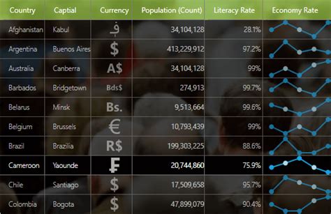 Image result for DataGrid BoundColumn