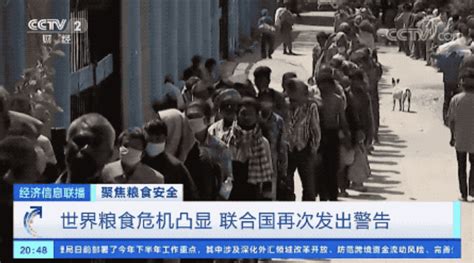 世界濒临严重粮食危机 中国老百姓的“米袋子”会受影响吗_新闻频道_央视网(cctv.com)