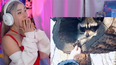 Image result for Random Clips On Internet