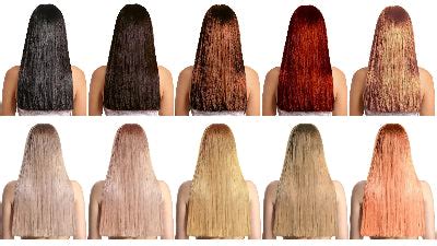 Image result for Wig Color Chart with Numbers
