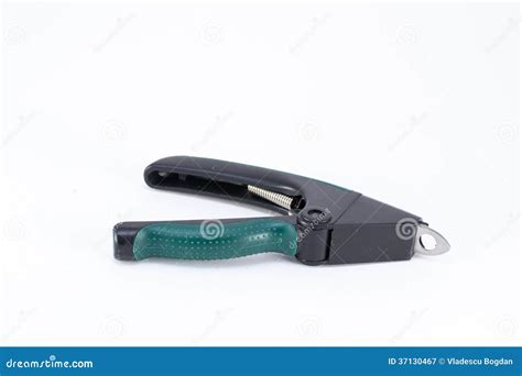 Dog nail cutter stock image. Image of grooming, closeup - 37130467