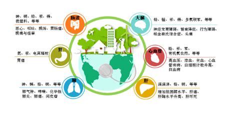 人类环境 的图像结果