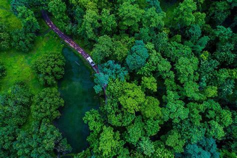 5 National Parks And Sanctuaries In Gujarat Your Kids Will Love ...