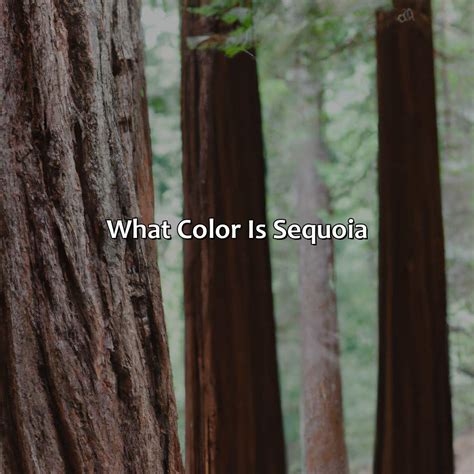 What Color Represents Freedom - colorscombo.com