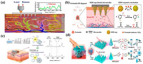 Recent Progress on the Application of Microneedles for In Situ Sampling ...