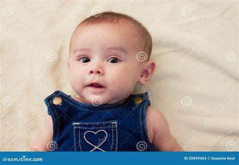 Four Month Old Baby Girl S Sweet Face Stock Photo - Image of four, adorable: 20899404