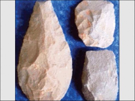 Oldest Human Civilization : रायसेन से जुड़ी है सबसे प्राचीन मानव सभ्यता ...