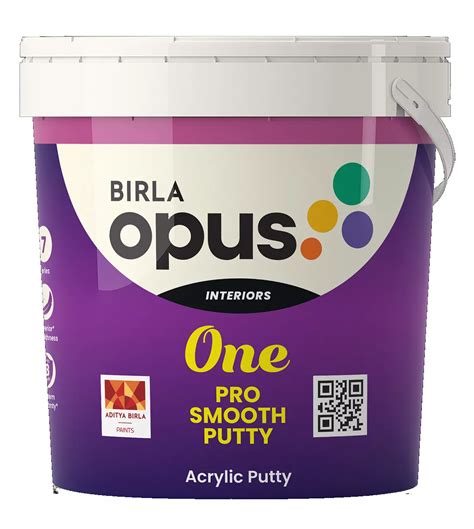 Long-Lasting Primer - Calista Perfect Choice Primer | Birla Opus