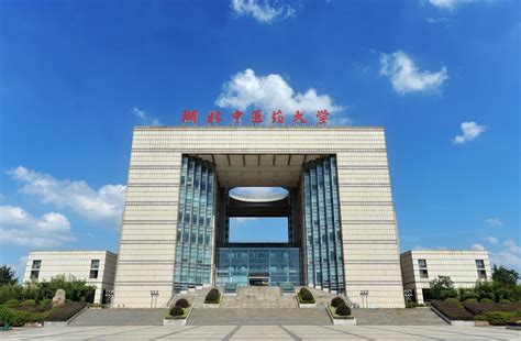 武汉23所民办本科大学学费一览表，最贵的竟然是这所……_东湖