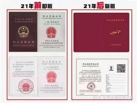 电子商务授权证书图片下载_红动中国