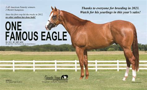 One Famous Local One People 的图像结果