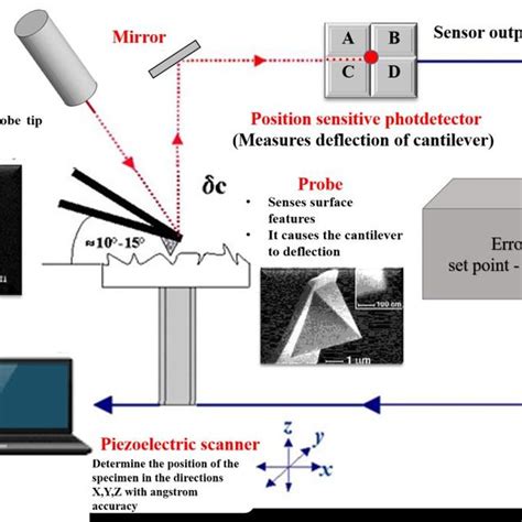 Image result for Atomic force microscopy AFM Principles
