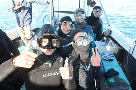 Shark Divers (Kleinbaai) - All You Need to Know BEFORE You Go