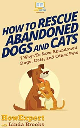 How To Rescue Abandoned Dogs and Cats: 7 Ways To Save Abandoned Dogs ...