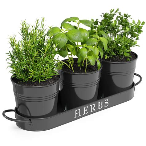 Indoor Herb Garden Planter