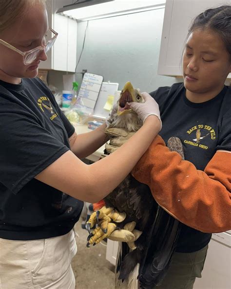 'We weren't going to leave her'