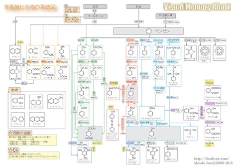 東大・京大・医学部対策にも！Visual Memory Chart 化学(有機化学・無機化学・理論化学) 【教育・学習・受験】 | 自宅で ...