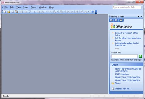 Image result for MS Access Window Image with Example