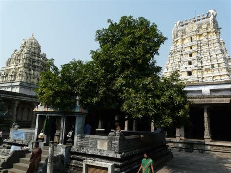 Kanchipuram: Ekambareshwar Temple | Sarson ke Khet